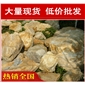 東莞深圳高端別墅黃蠟石，黃臘石假山石料