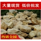 深圳廈門草地點景散置黃臘石，黃蠟石景觀石材