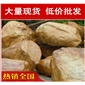 深圳中山形態各異黃蠟石，黃臘石假山石料