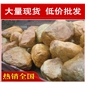 廣東黃臘石、黃蠟石，不經過中間商，現貨*多