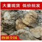 東莞千層石，生態(tài)水景清遠(yuǎn)千層石，景觀石批發(fā)