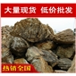 廣東千層石，堆砌假山梅州千層石，假山石廠家