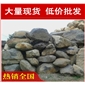 廠家直銷深圳英德天然美觀青石，風(fēng)景石