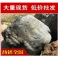 英德青石，道路綠化廣東青石，景觀石批發(fā)