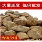 黃臘石，金華小區特置黃蠟石，景觀石大量批發