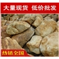黃蠟石，重慶私家花園黃臘石，假山石廠家直銷