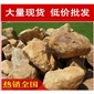 黃臘石，西安湖岸水系黃蠟石，景觀石大量批發
