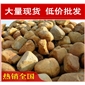 橢圓黃臘石，上海草地點景散置黃蠟石，景觀石