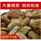 橢圓黃蠟石，杭州山石造景黃臘石，假山石