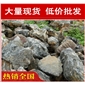 廠家直銷廣州深圳造型獨特太湖石，風景石