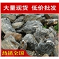 廠家直銷深圳中山形態(tài)各異太湖石，風景石