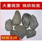 廠家直銷英德上海學校廣場鵝卵石濾料