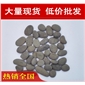 廠家直銷深圳江陰樓盤景觀鵝卵石濾料