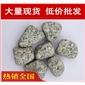 廠家直銷廣州無錫別墅庭院鵝卵石濾料