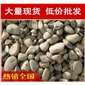 廣東天然鵝卵石，形態各異廣東鵝卵石大量現貨批發
