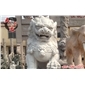 石獅子 美式 卡通 西方 雕塑 雕花 龍 孔子頭像 石麒麟 觀音 石材雕刻 雕刻品