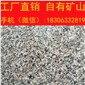 G603芝麻灰花崗巖 出口灰色花崗巖加工 出口石材加工