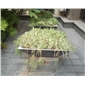 芝麻黑石材工程案例