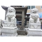 專(zhuān)業(yè)定制 福建青石獅子雕刻 石雕北京天安門(mén)獅子 鎮(zhèn)宅獅子雕刻