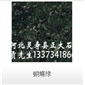 蝴蝶綠