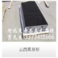 山西黑異形