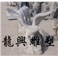龍、虎、鷹、豹7