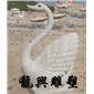 天鹅