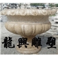花盆6