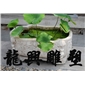 花盆11