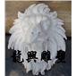 喷水动物6