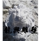 喷水动物16