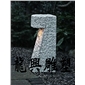 園林景觀13
