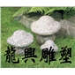 園林景觀34
