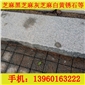 沙縣公園G654菠蘿面 1