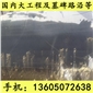 G654石材 荒料 特大荒料 芝麻黑花崗巖 芝麻灰花崗巖 黃銹石花崗巖 喬治亞灰花崗巖 芝麻白花崗巖