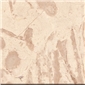 阿曼米黃 Amasya Beige