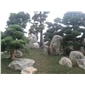 泰山石