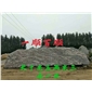 风景石（一顺百顺）