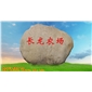 卵石 刻字石