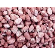 yx0061