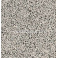 G603