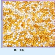B06