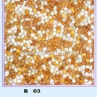 B03