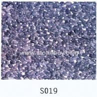 S019