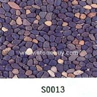 S0013