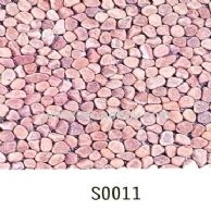 S0011