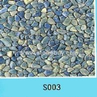 S003
