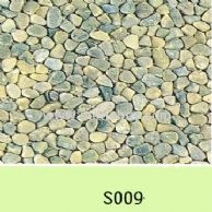 S009