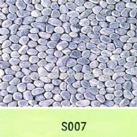 S007