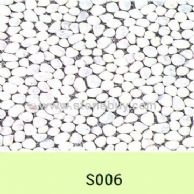 S006